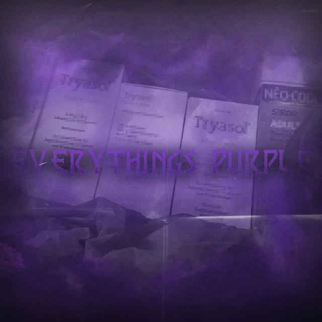 Album cover art for Everythings Purple