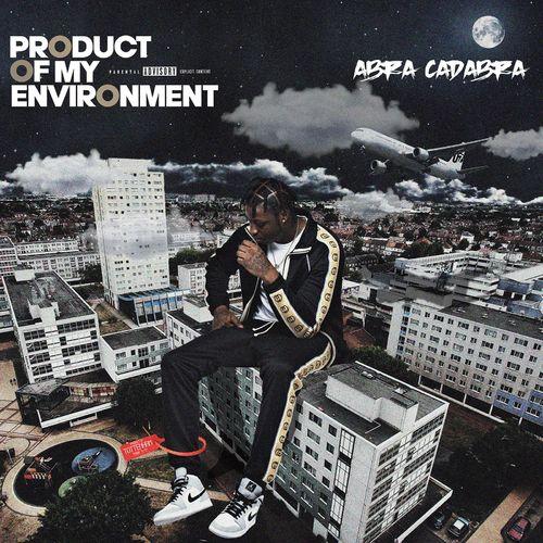 Album cover art for Product of My Environment