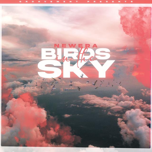 Album cover art for Birds in the Sky