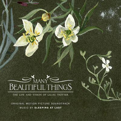 Album cover art for Many Beautiful Things [B.O.F.]