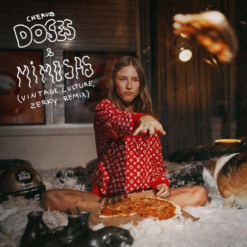 Album cover art for Doses & Mimosas (Vintage Culture & Zerky Remix)