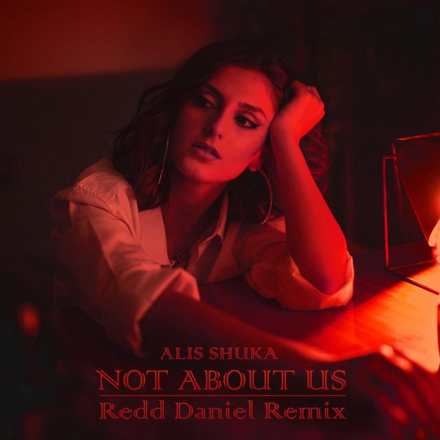 Album cover art for Not About Us [Redd Daniel Remix]