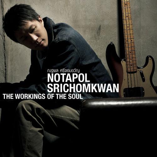 Album cover art for The Working of The Soul