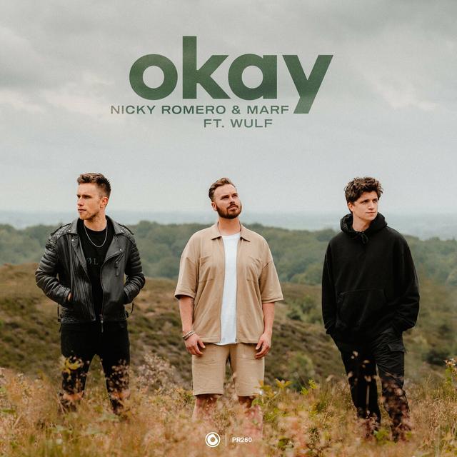 Album cover art for Okay (feat. Wulf) - Single