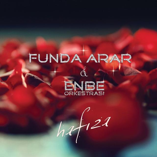 Album cover art for Hafıza