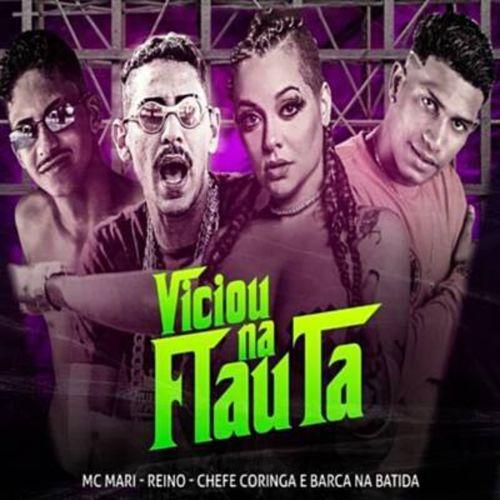 Album cover art for Viciou na Flauta