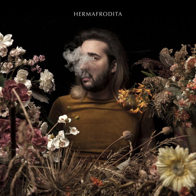 Album cover art for Hermafrodita