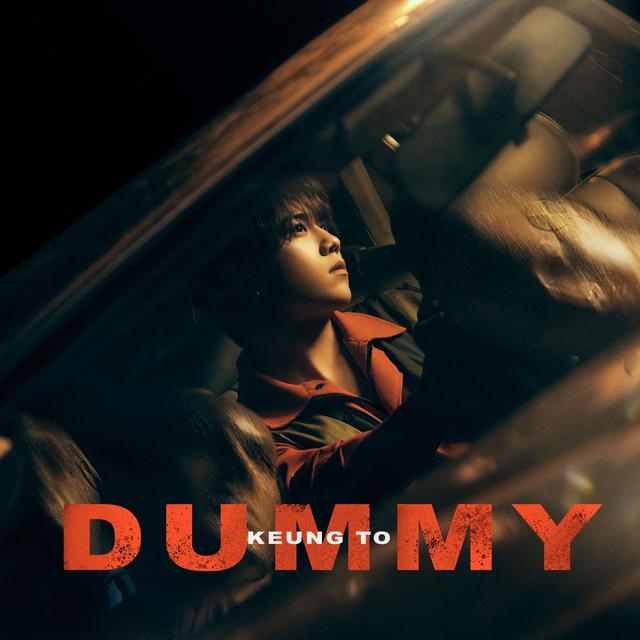 Album cover art for Dummy