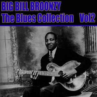 Album cover art for The Blues Collection Vol 2