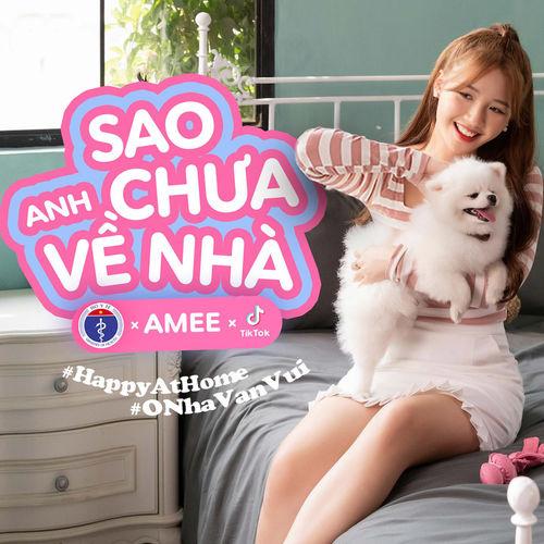 Album cover art for Sao Anh Chưa Về Nhà