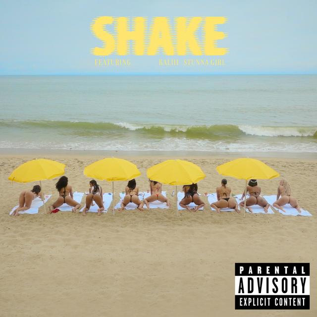 Album cover art for Shake