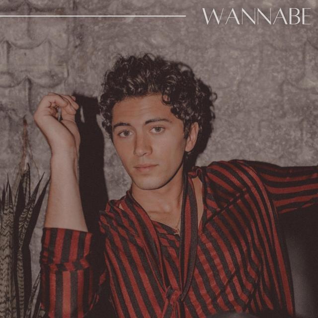 Album cover art for Wannabe