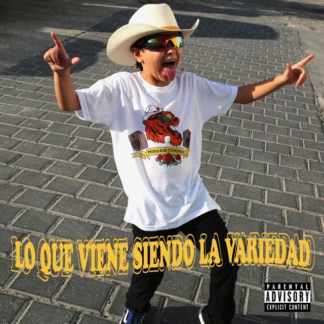 Album cover art for Lo Que Viene Siendo La Variedad