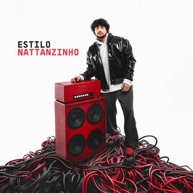 Album cover art for Estilo Nattanzinho