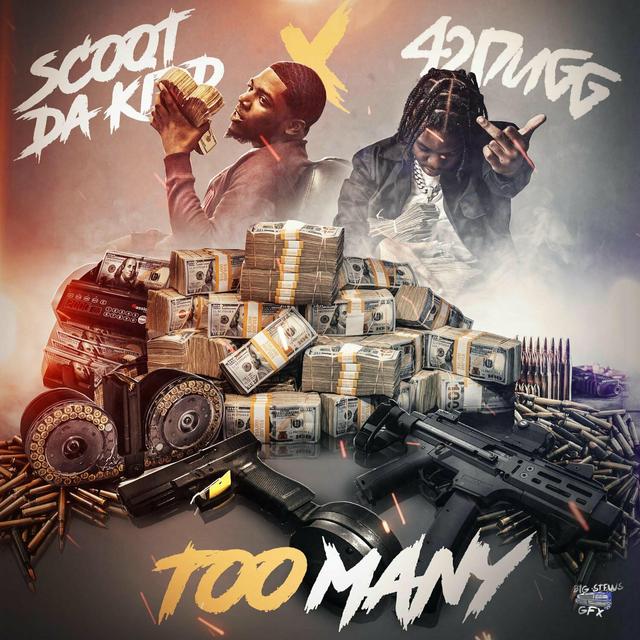 Album cover art for Too Many