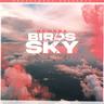 Birds In The Sky