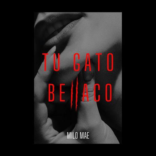 Album cover art for Tu Gato Bellaco