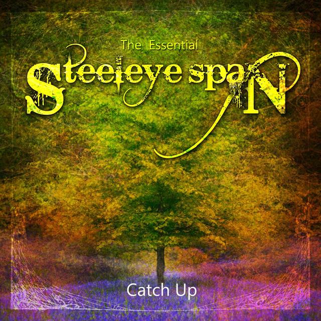 Album cover art for The Essential Steeleye Span : Catch Up