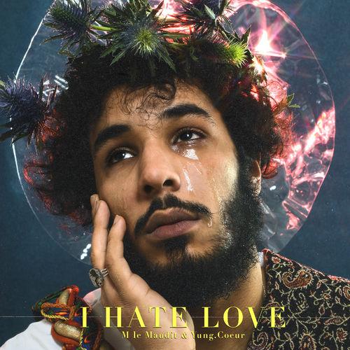 Album cover art for I Hate Love