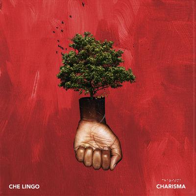 Album cover art for Charisma