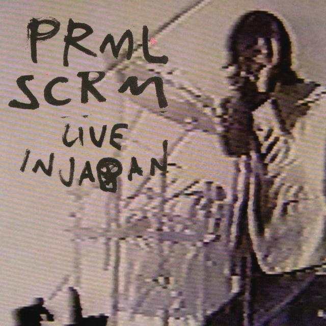 Album cover art for Live In Japan