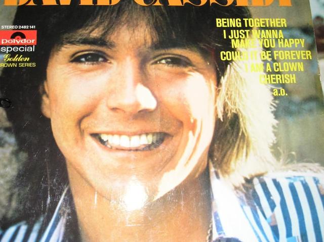 Album cover art for Portrait of David Cassidy