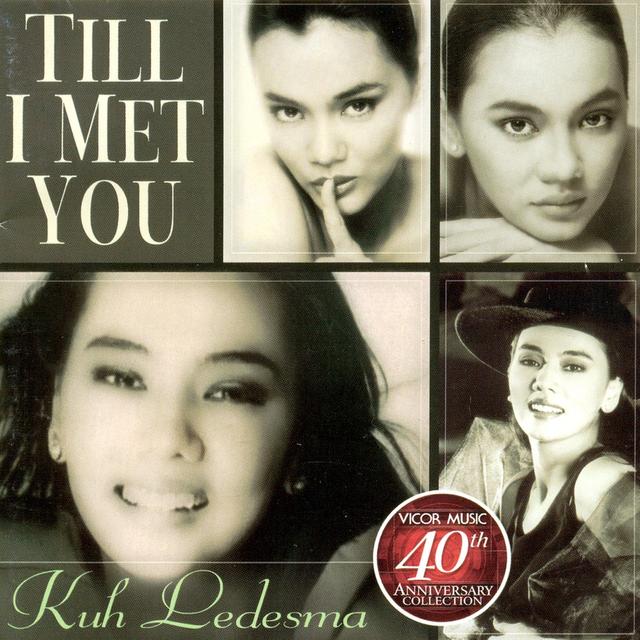 Album cover art for Till I Met You (Vicor 40th Anniv Collection)