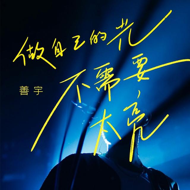 Album cover art for 做自己的光，不需要太亮