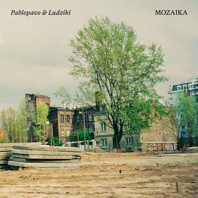 Album cover art for Mozaika