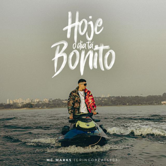 Album cover art for Hoje o Dia Tá Bonito