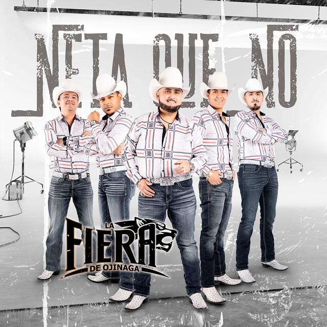 Album cover art for Neta Que No