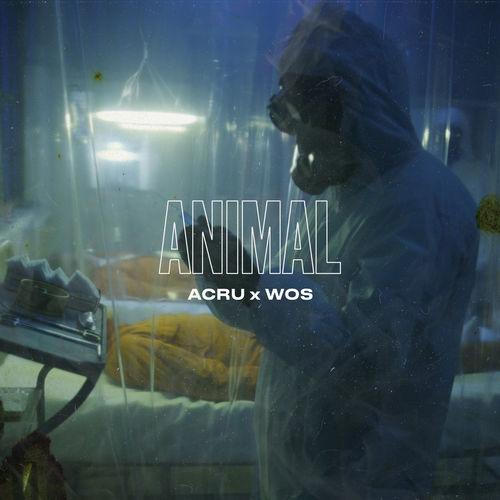 Album cover art for Animal