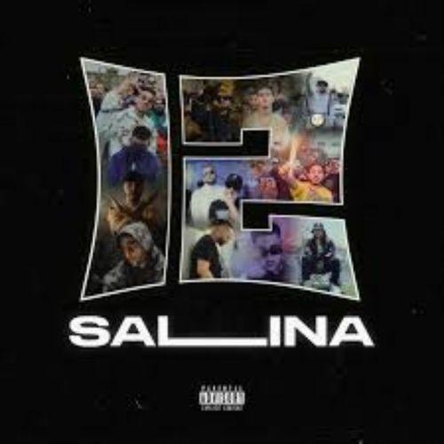 Album cover art for SALINA