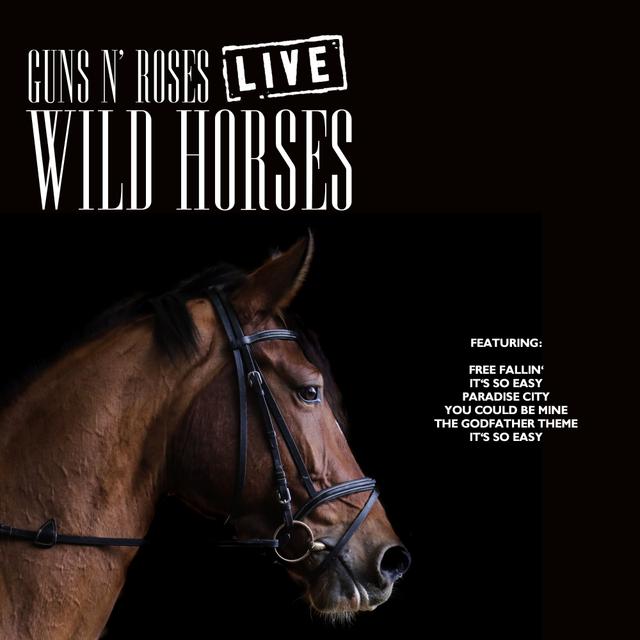 Album cover art for Wild Horses