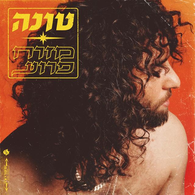 Album cover art for מזרח פרוע