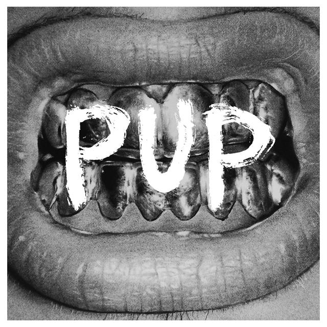 Album cover art for PUP