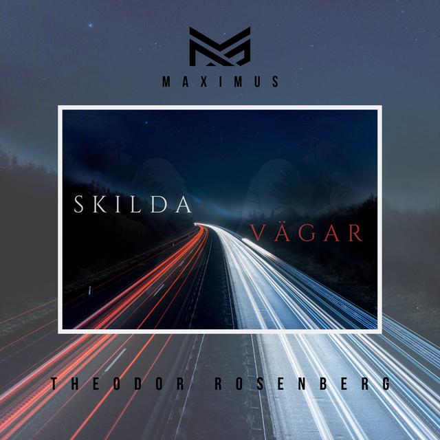 Album cover art for Skilda vägar