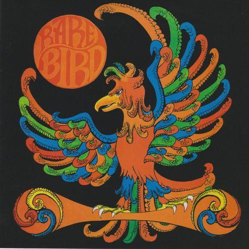 Album cover art for Rare Bird