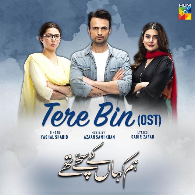 Album cover art for Tere Bin