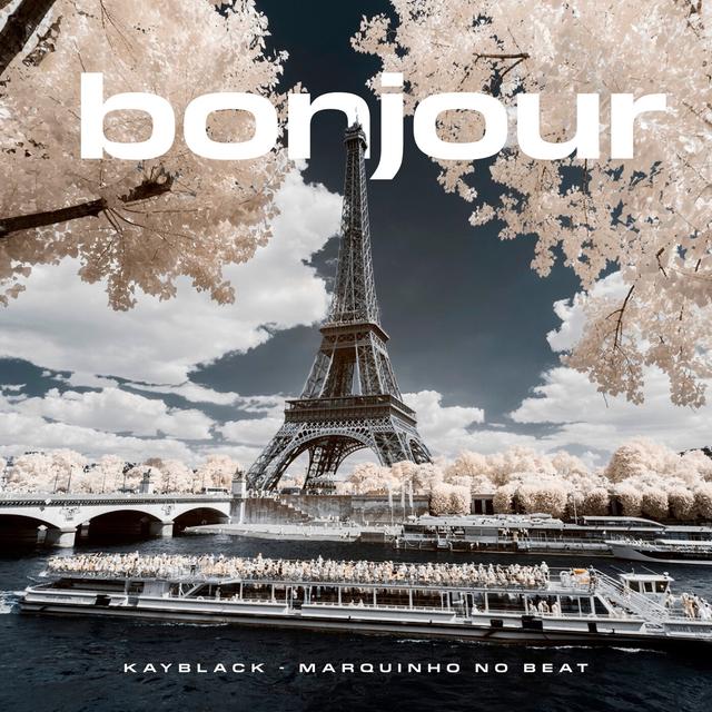 Album cover art for Bonjour