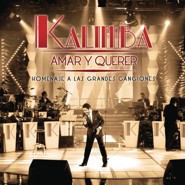 Album cover art for Amar y Querer (Homenaje a las Grandes Canciones)