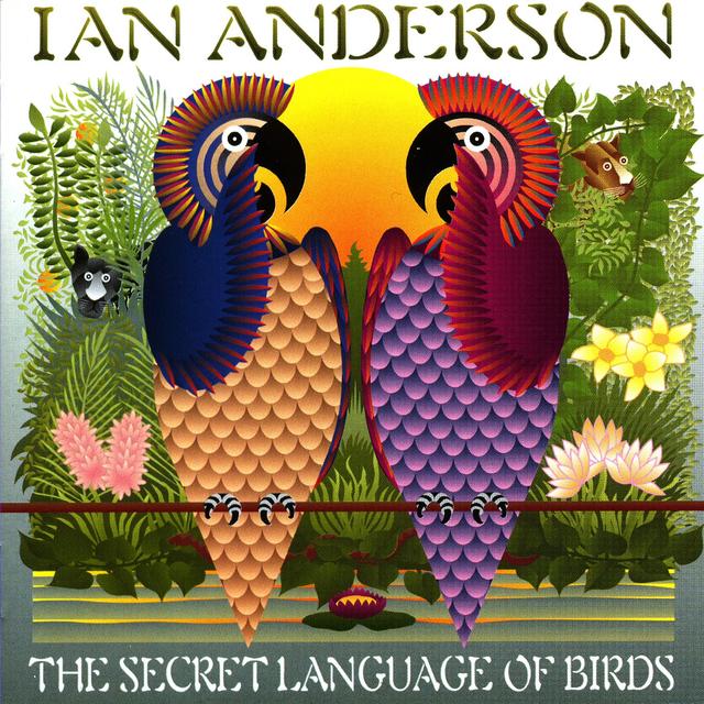 Album cover art for The Secret Language Of Birds