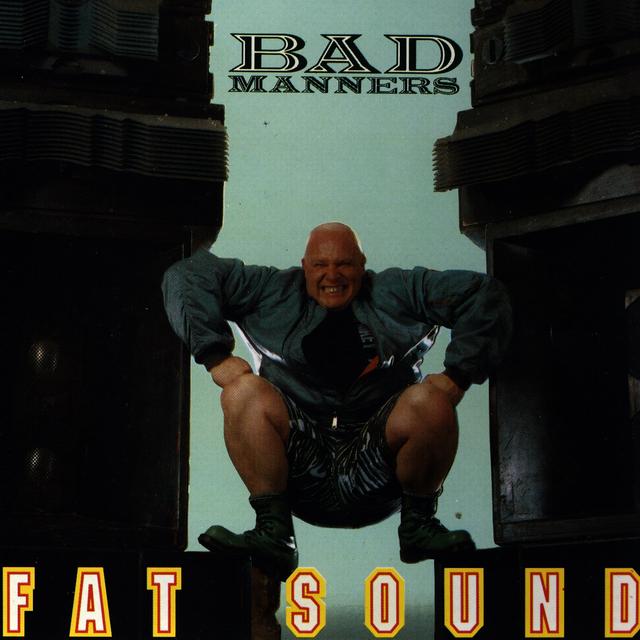 Album cover art for Fat Sound