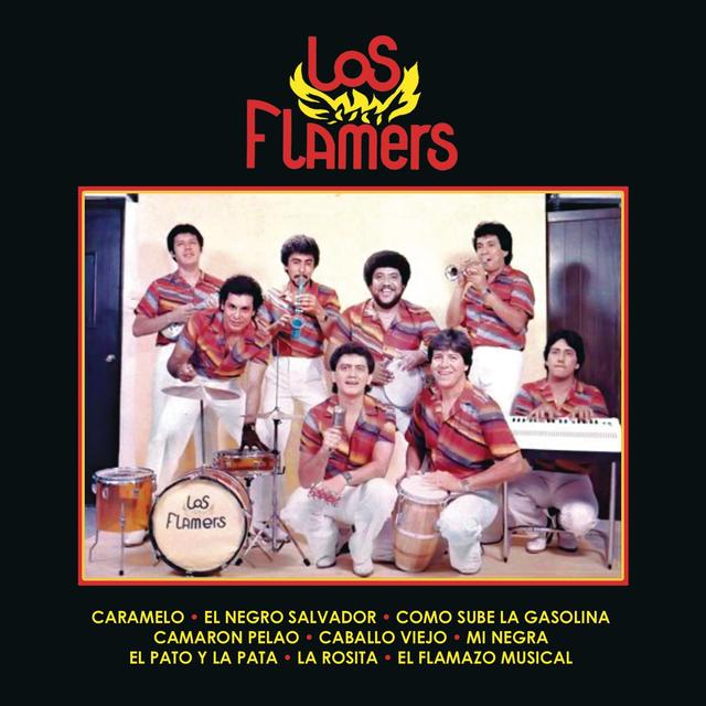 Album cover art for Los Flamers