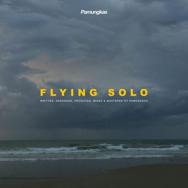 Album cover art for Flying Solo