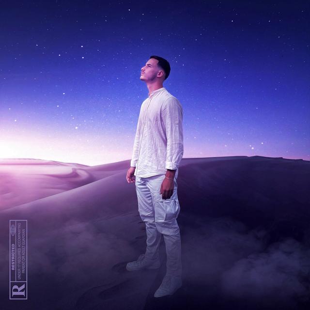 Album cover art for Né pour briller