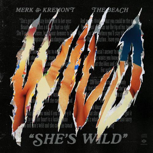 Album cover art for She's Wild