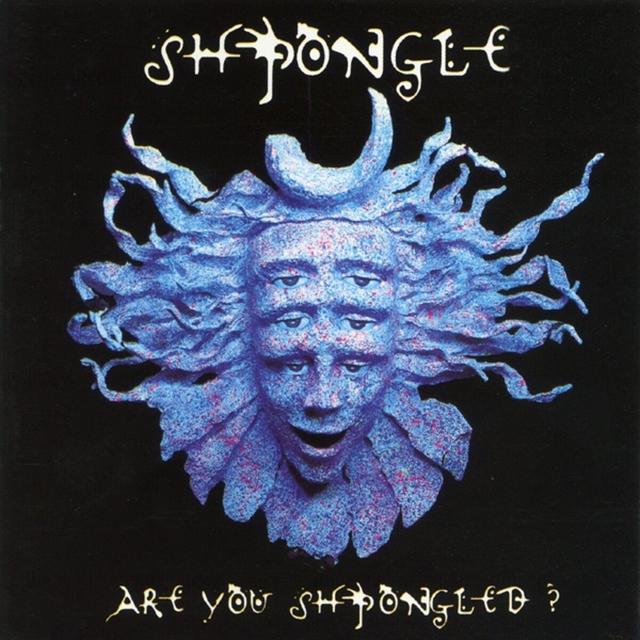 Album cover art for Are You Shpongled?