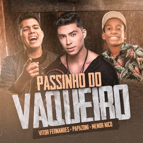 Album cover art for Passinho do Vaqueiro