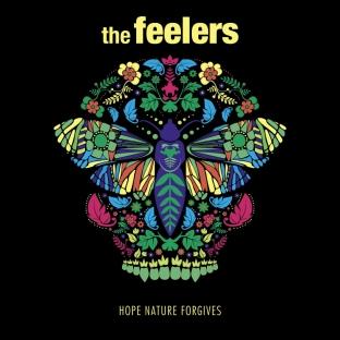 Album cover art for Hope Nature Forgives